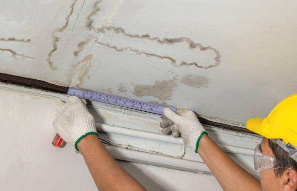Reliable Water Damage contractor in Kingston, NH by Water Damage Irwin